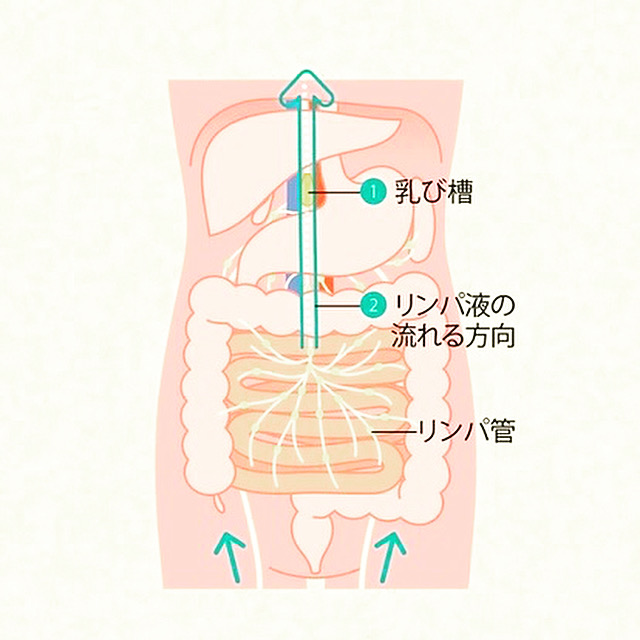 フェイシャルエステ(5)＜オールハンドリンパマッサージ＞（60分×6回分）|