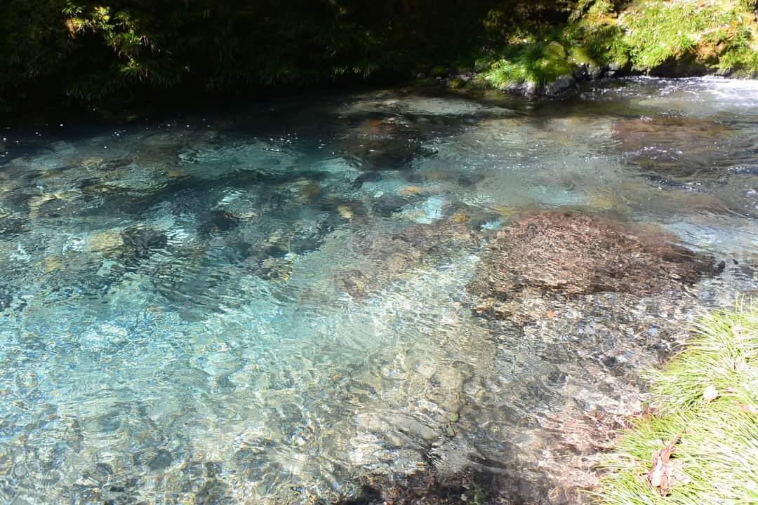 東洋式疑似餌釣研究所 Ⅱオイカワフライフィッシング 出勤前に