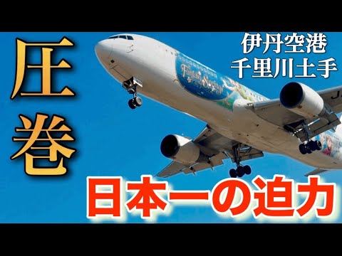 日本一 伊丹空港の千里川土手で飛行機の着陸を望む！わずか30m頭上！迫力がやばすぎる！！発着機を実況解説。 国内線全路線制覇の旅 スピンオフ