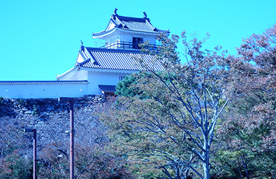 サクラ ホテル モザイク (大人専用)