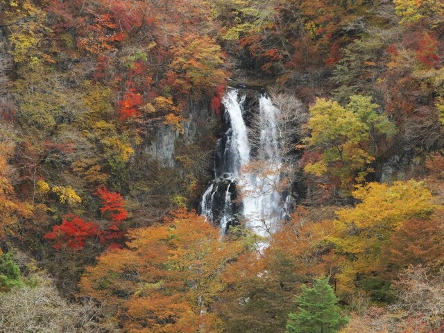 栃木県 自然「滝・渓谷」霧降ノ滝
