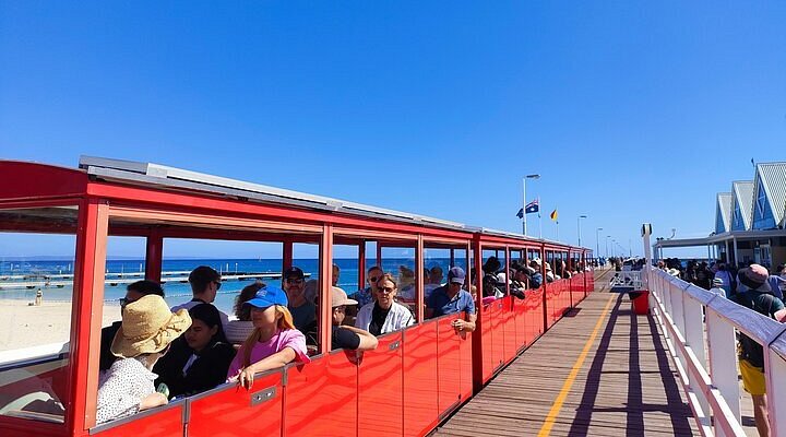 北大イチョウ並木の見頃はいつ？行き方・ライトアップ・金葉祭の楽しみ方を紹介