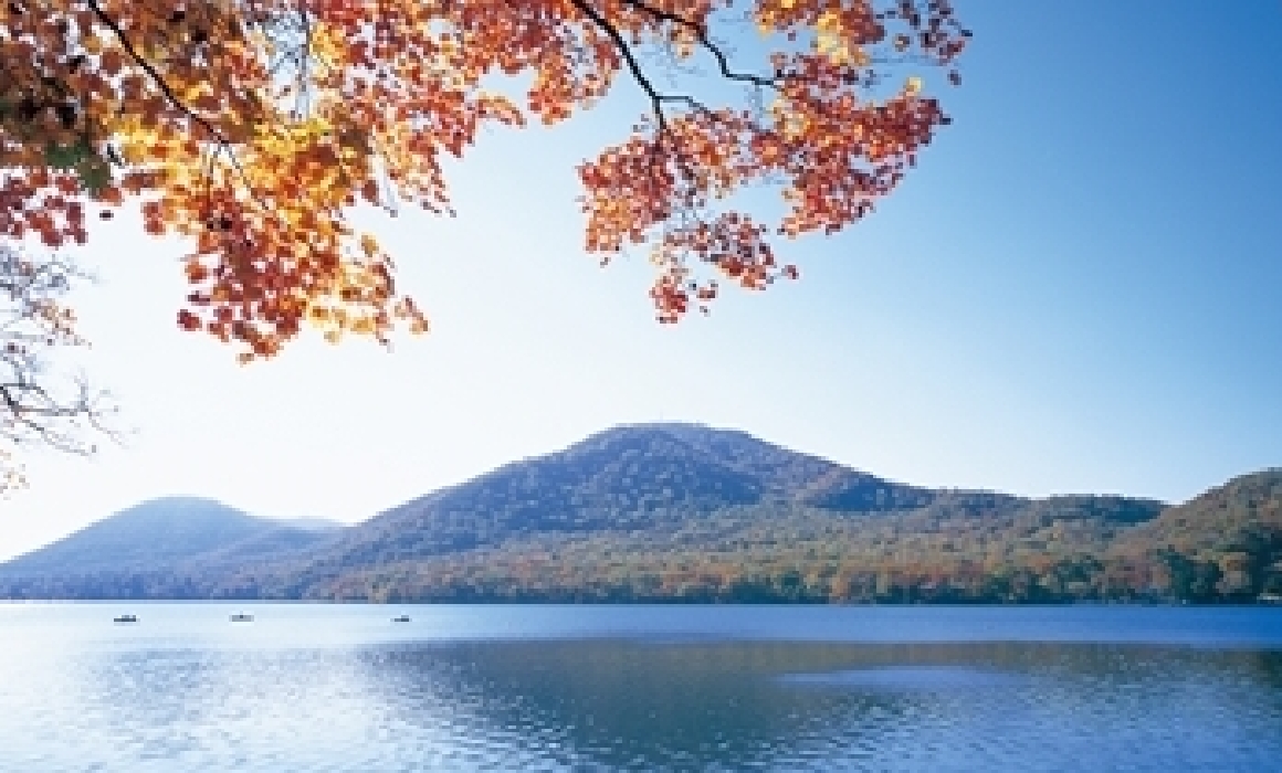 赤城山 小沼周遊歩道 - 散策・ハイキング
