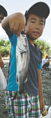 東京都・埼玉県荒川 で シーバス が釣れる場所