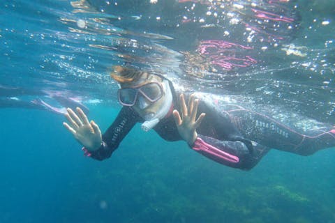 南伊豆・ヒリゾ浜シュノーケリング・船で行く１日ツアー HIS