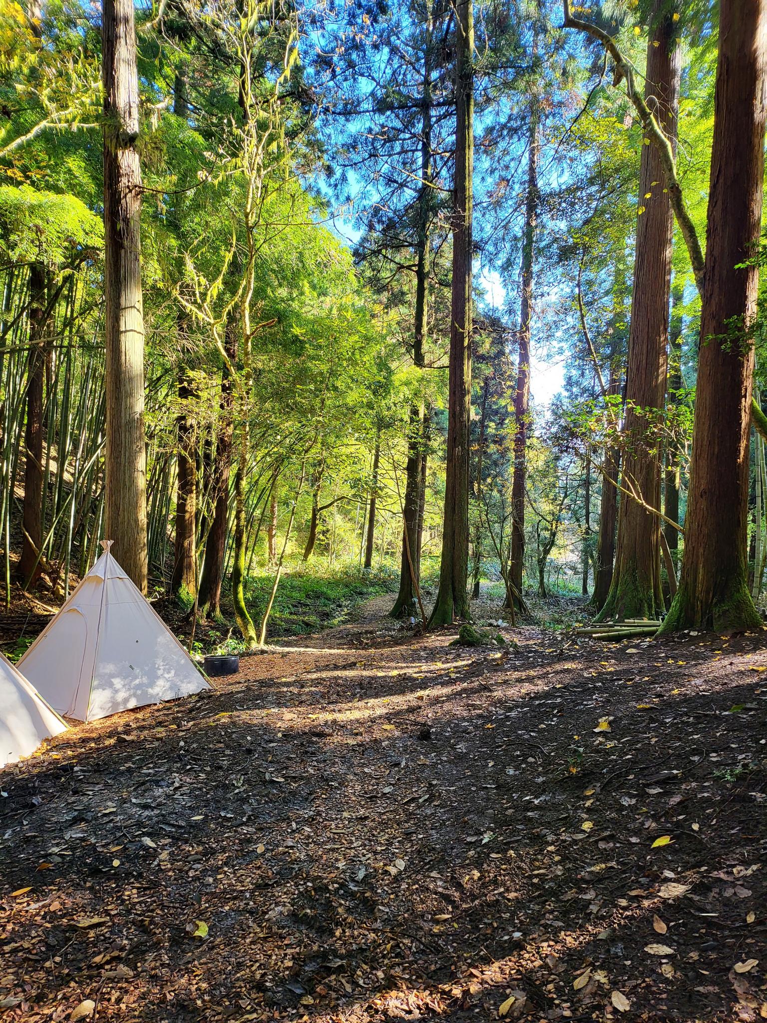 周辺観光懐石と炉ばたの宿 吉弥
