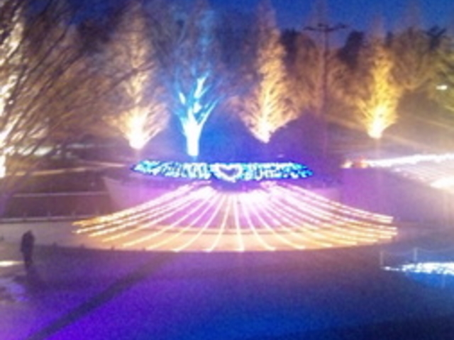 あづま総合運動公園の桜 2022.04.12福島県全域の春 - お花見速報福島市・伊達郡・伊達市・二本松市・花見福島県北最大級ポータル『ぐるっと福島』