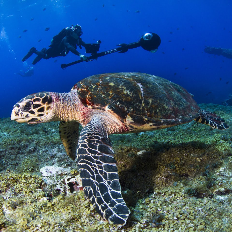 夏休み2019 Google Earthやストリートビューで学びの旅提案