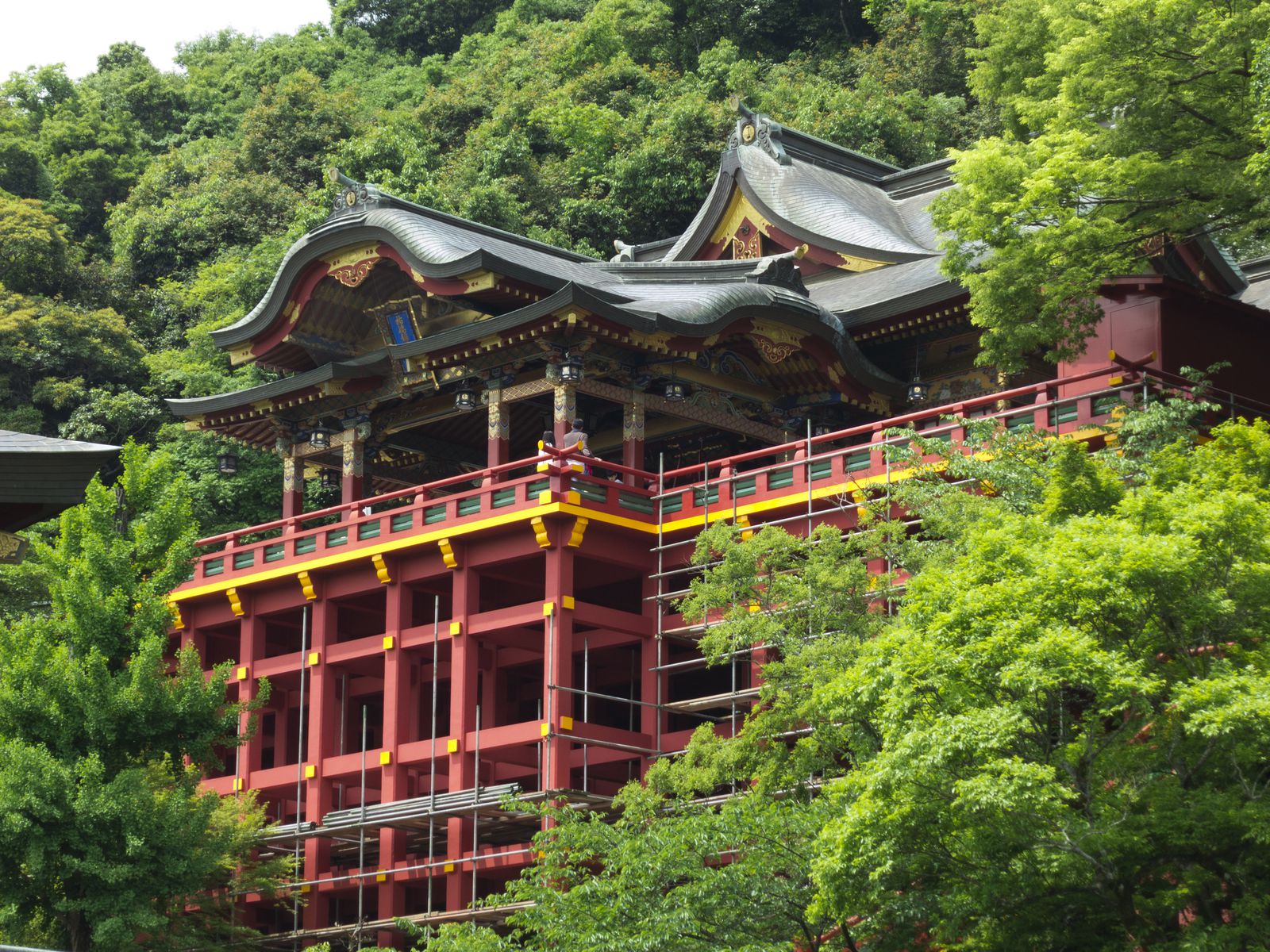 紅葉に包まれる佐賀の映えスポット 幻想的な風景に癒やされ毎日新聞