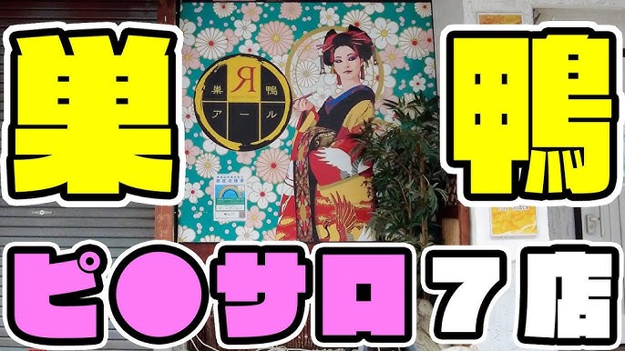 健康食品 国産100% すっぽんの粒 250mg×90粒 カプセルタイプ