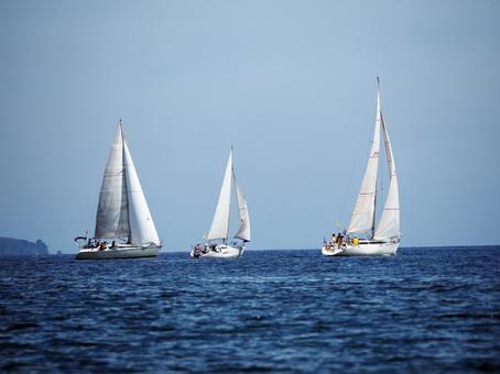 帆船の帆の種類について