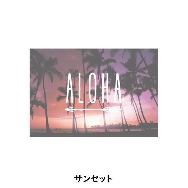 ハワイアン ポストカード 10枚セット はがき