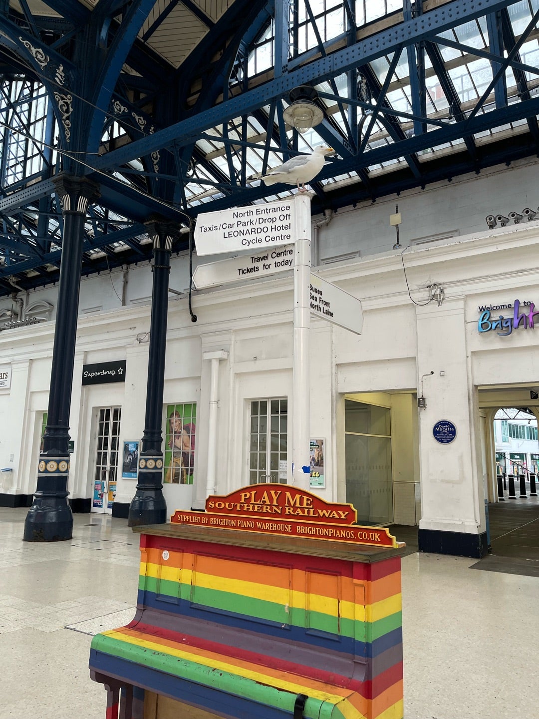 Brighton & Hove Albion クマのぬいぐるみ