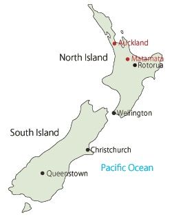 ウエリントンの観光情報公式ニュージーランド航空