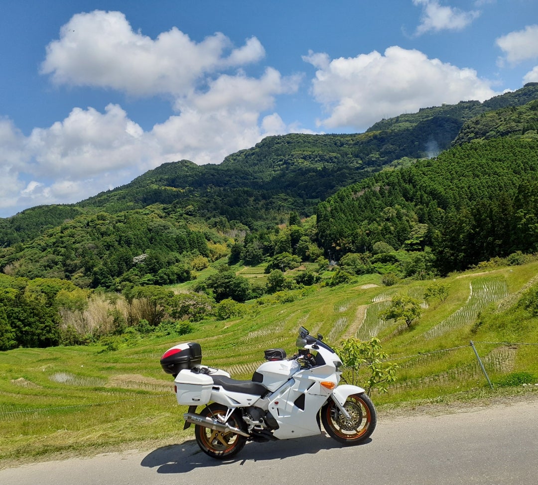 千葉 もみじロード ２０２４年まだ間に合う！千葉県富津市もみじロードに行ってきました。Jabe's Drive