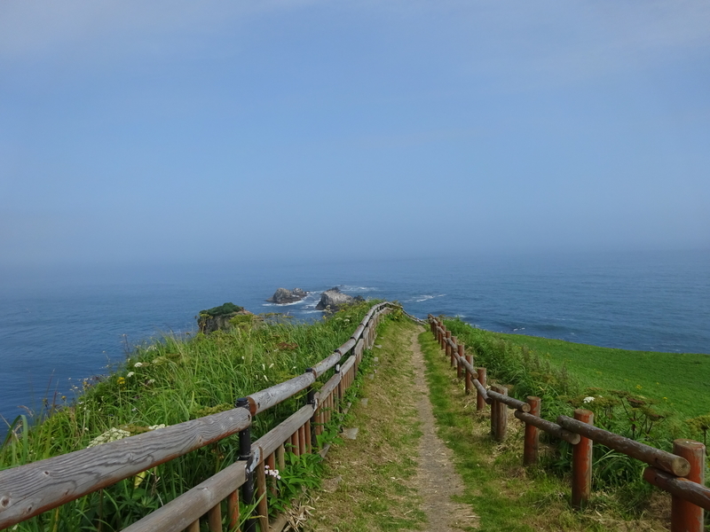 霧多布に野生のラッコを見に行ったよ🦦へきらっこ