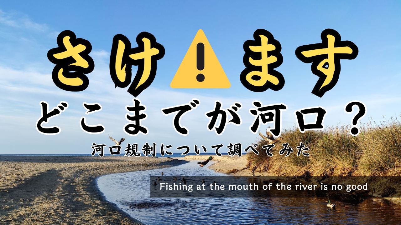 川と海の境目に行ってみた
