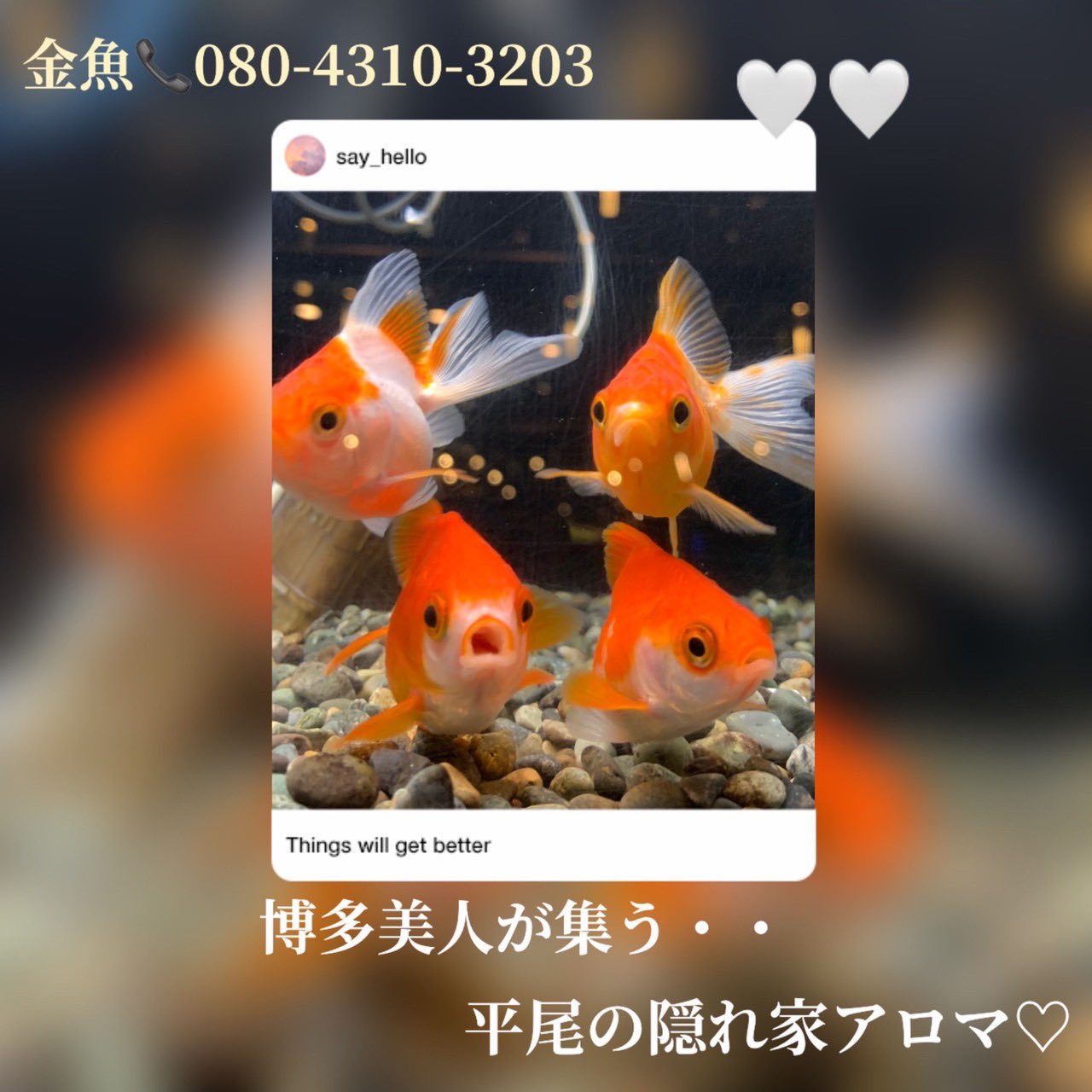 セラピスト | 薬院・平尾メンズエステ 金魚グループ |