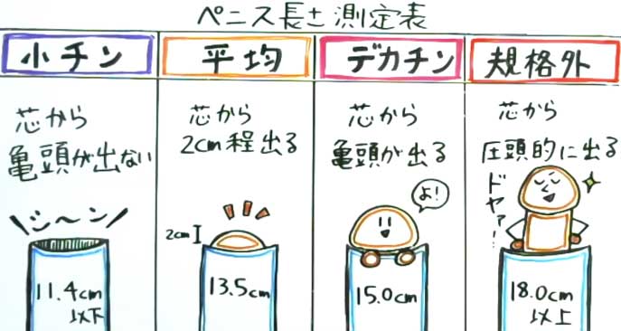 日本人の平均ペニスサイズってどのくらい？】自分のチンコが小さい！？｜ペニス増大サプリのおすすめランキング！【効果は嘘？】口コミ人気を比較検証しました！