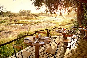 ホヨ-ホヨ ツォンガ ロッジ ホテルHoyo