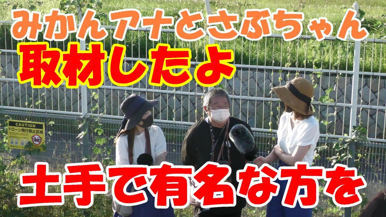 時紀行：時の余話 楽しみ方様々、飛行機好きの聖地：朝日新聞