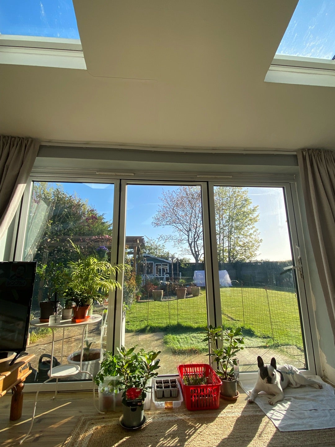 今日も青空。&セレブの田舎暮らし。再び、イギリスからの雑記帳