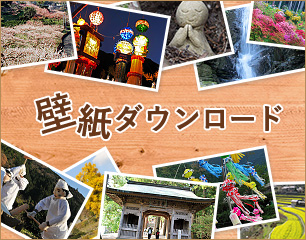 明王寺のしだれ桜徳島県観光情報サイト阿波ナビ