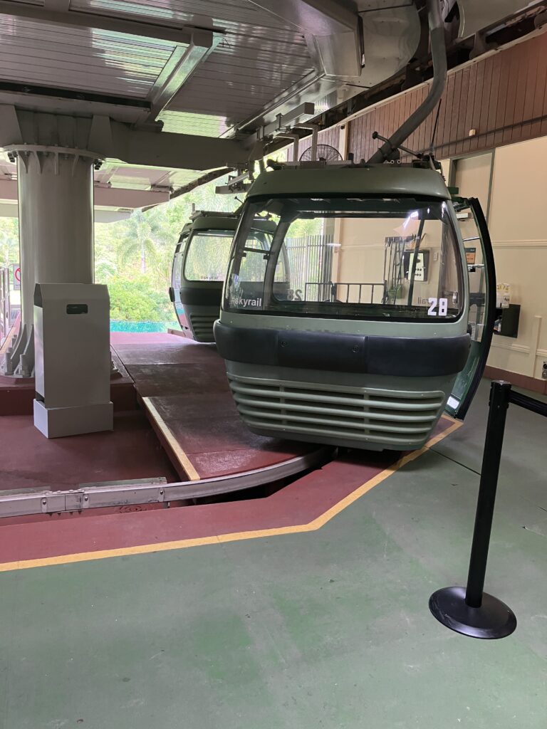 世界遺産に囲まれた「キュランダ村」散歩&コアラを抱ける動物園「キュランダコアラガーデンズ」訪問。 オーストラリア🇦🇺旅行 7-TSUYOSHIの歩き方