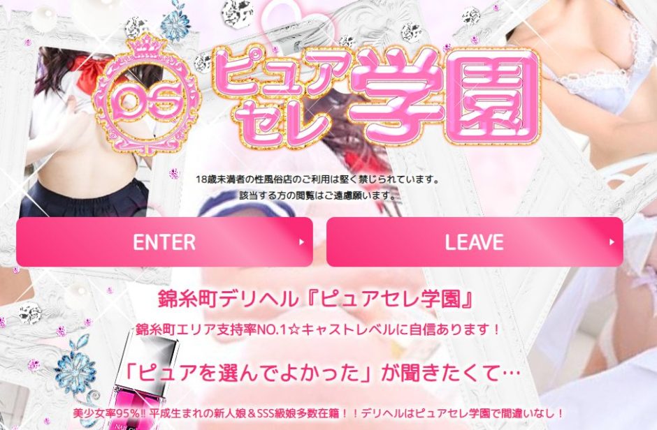 体験談】錦糸町発のデリヘル「ピュアセレクション」は本番（基盤）可？口コミや料金・おすすめ嬢を公開 | Mr.Jのエンタメブログ