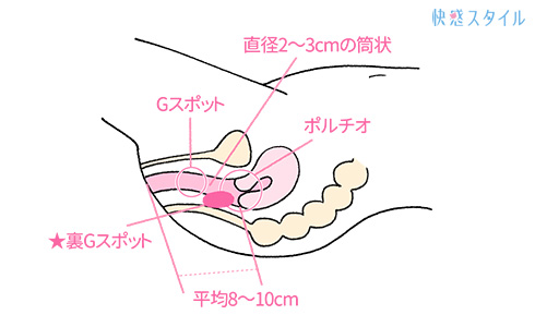 アナル体験談】気持ちよすぎるっ…！アナルセックスの方法＆体験談