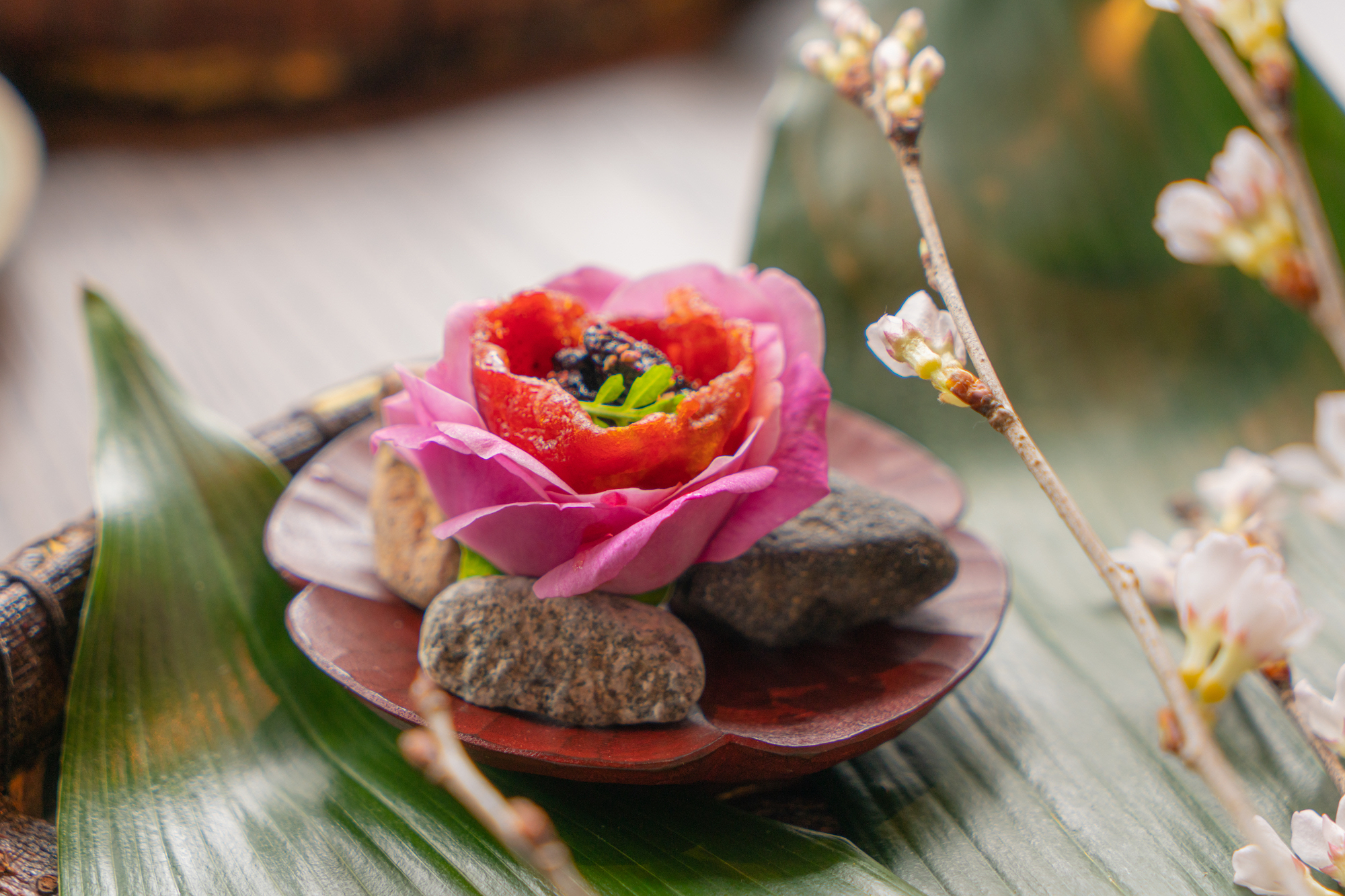 1席12万円超え。話題沸騰レストラン「ノーマ noma 京都」を自腹でレポート！ ELLE gourmetエル・グルメ