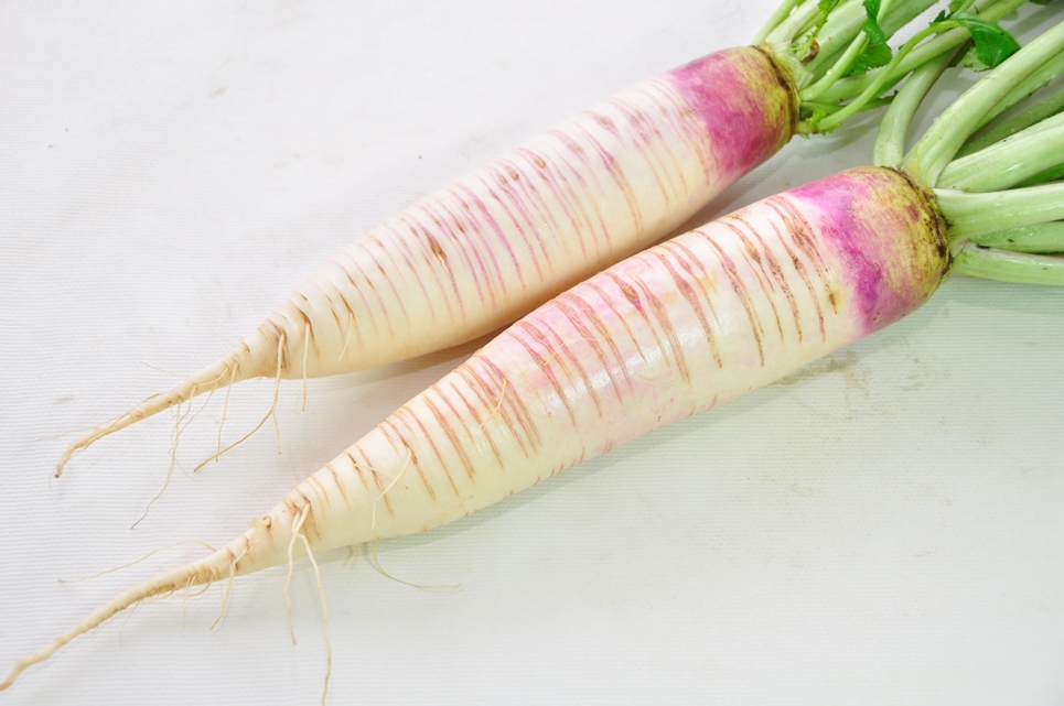 秋田県のお土産ランキング11選！おすすめのお菓子やおつまみ、かわいいキーホルダーも！人気のお土産屋さんもご紹介 - おみとら