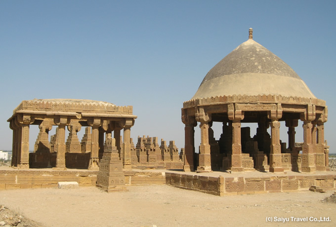人懐っこさを楽しみに～パキスタン・カラチ～ - 世界の花屋 フラワーギフト おしゃれな花の通販サイト