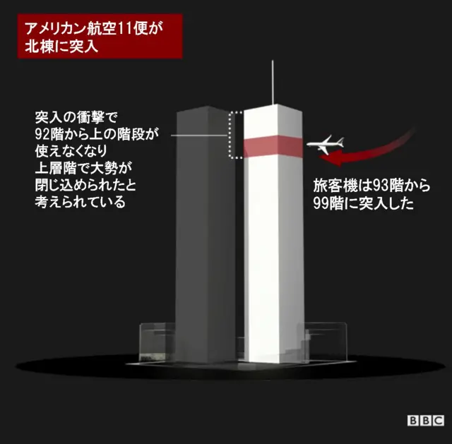 Amazon.co.jp: 航空機 20 センチメートルために米国アメリカ AA