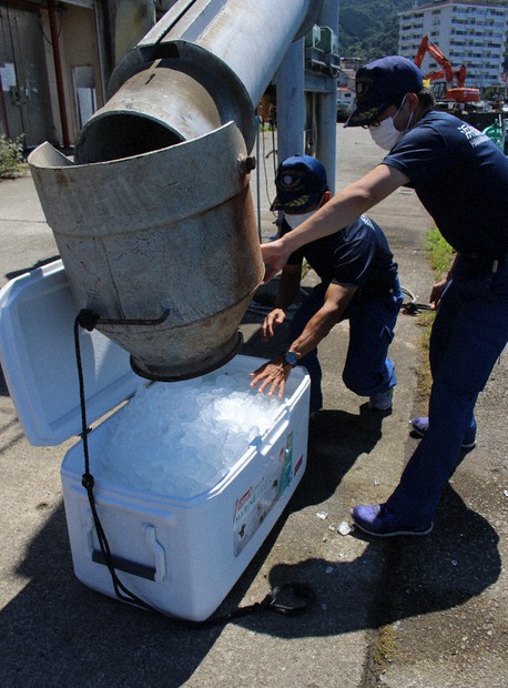 和歌山県由良町 『戸津井魚港：とついぎょこう』の海釣りガイド 釣れる魚・駐車場・トイレ 和歌山釣りWALKER