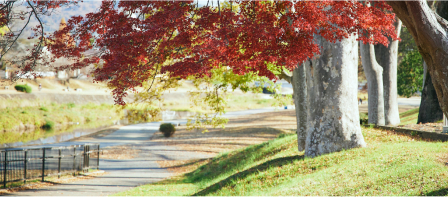 秋の京都観光 銀杏・紅葉名所おすすめ迷ったらとりあえずここ！ - 旅のメモリア-ブログ