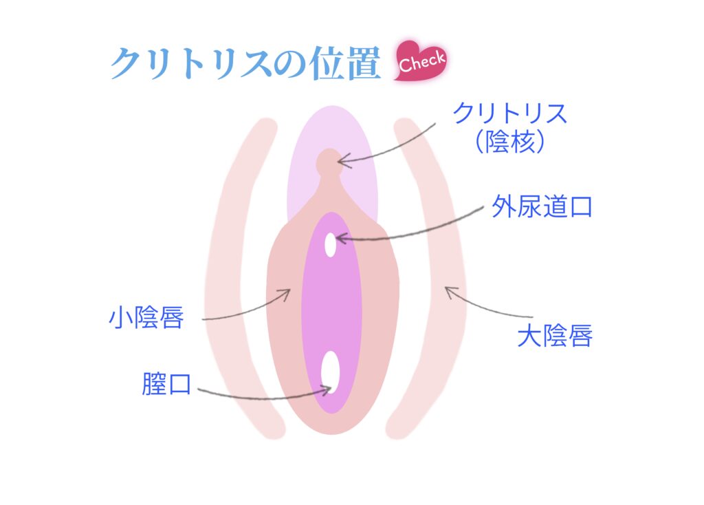 正しいクリトリスの触り方！過去イチの男と言わせる簡単テクも紹介｜駅ちか！風俗雑記帳