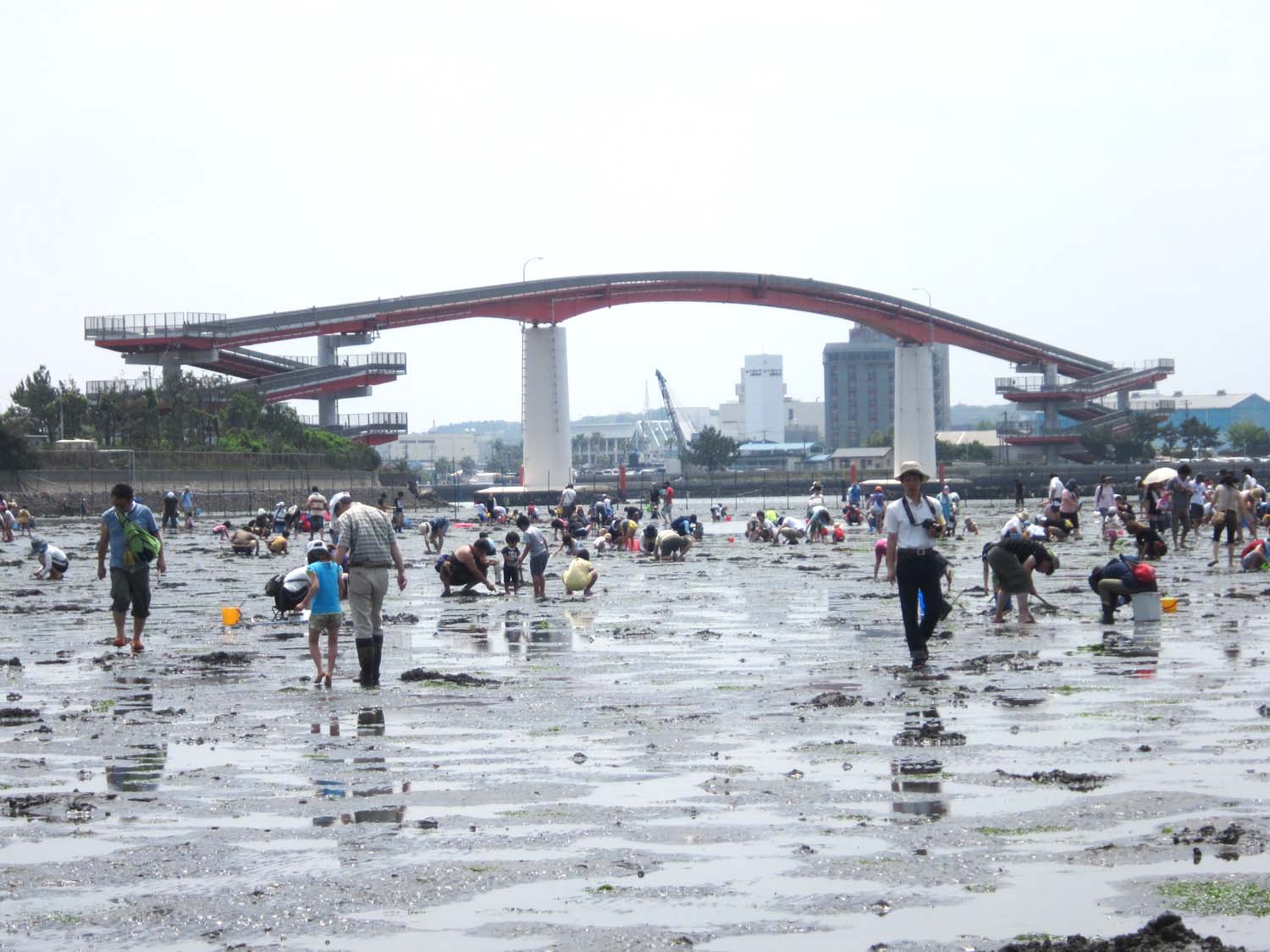 2024年潮干狩り情報解禁！ふなばし船子バーベキューのブログふなばし三番瀬海浜公園 バーベキュー広場 公式サイト
