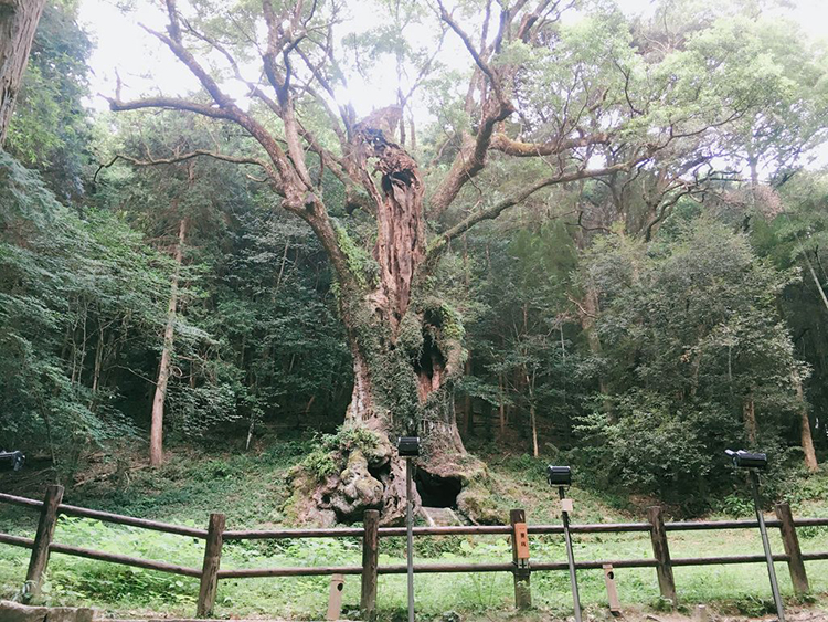 佐賀・パワースポット12選！ドライブで行こう！定番から穴場まで - じゃらんレンタカードライブガイド