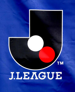 札幌 「もったいなかった」２００３年 補強チグハグ選手モヤモヤＪ２で９位