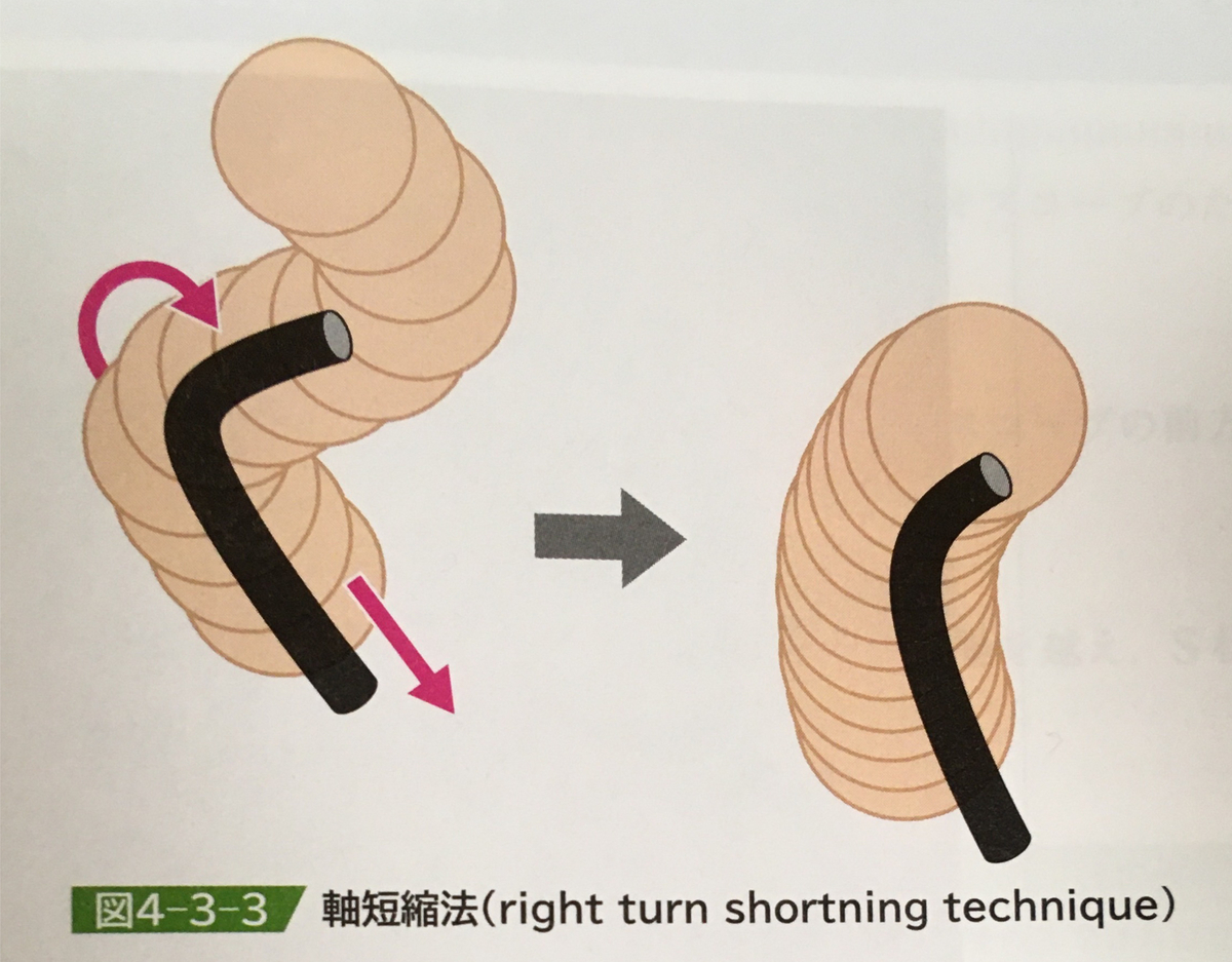 Let's美腸活1. | 福岡のドラッグストア、調剤薬局｜大賀薬局