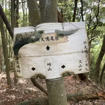 映画『犬鳴村』公開 なぜトンネルはしょっちゅう「心霊スポット」認定されるのか -