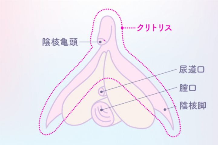 ヨドバシ.com - クリトリス愛撫教本 第2版 [単行本]