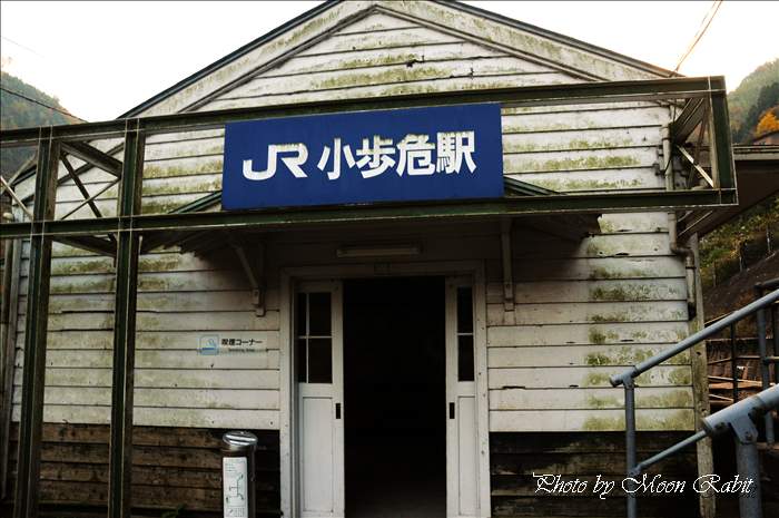 小歩危駅 徳島県 三好市-
