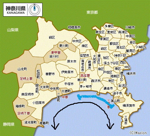 2025年最新 湘南の海ってどこ？おすすめビーチや海水浴場を紹介！NEWT ニュート