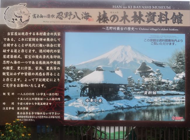 No.431 山梨県 「忍野八海」で一番賑わう池は