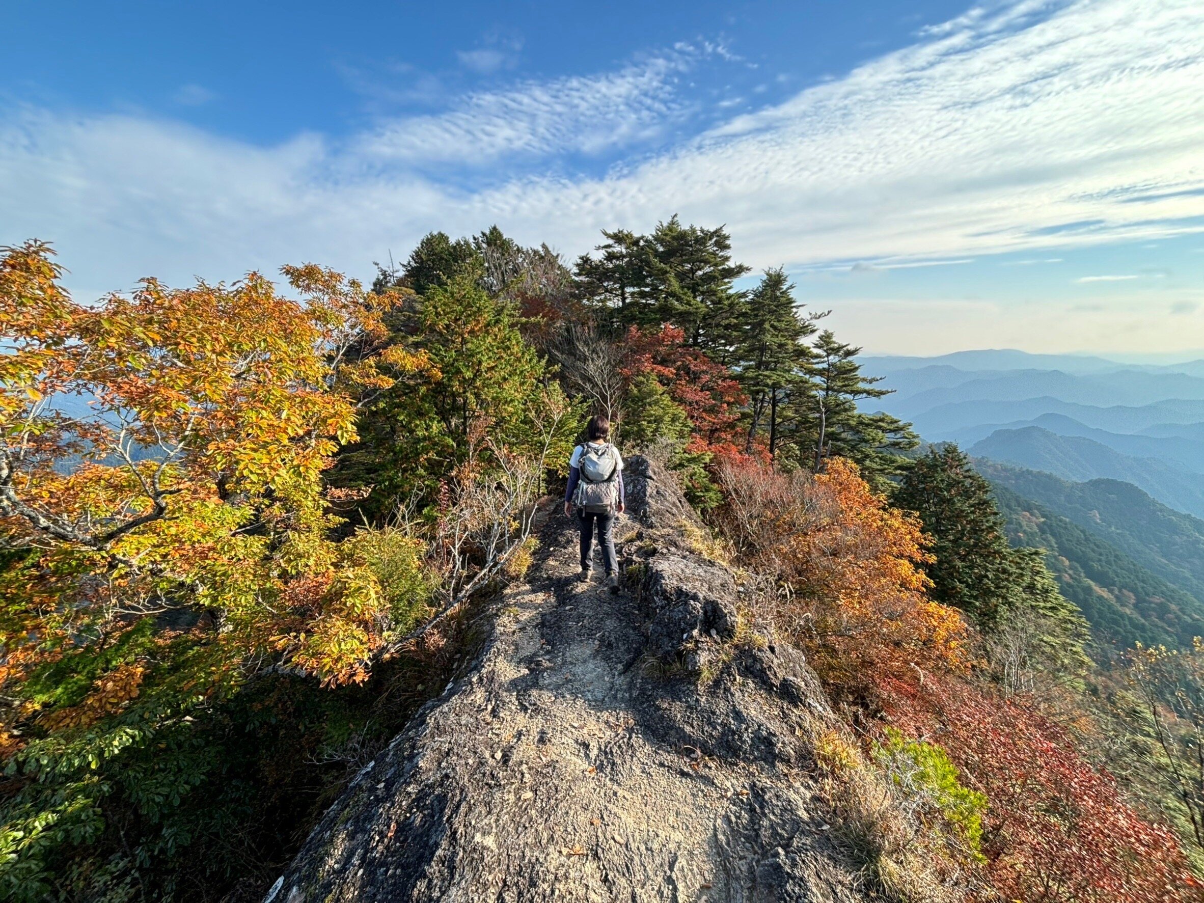 横尾山南南東稜～馬の背～妙法寺川 神戸市須磨区登山レポート登山・アウトドア用品の専門店 好日山荘