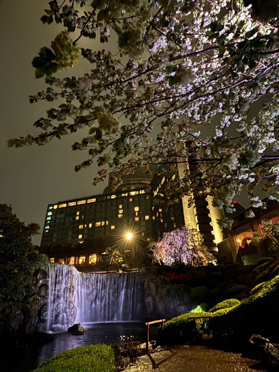 2022 『ホテルニューオータニ開業50周年』の日本庭園ライトアップに行ってみた』赤坂 東京