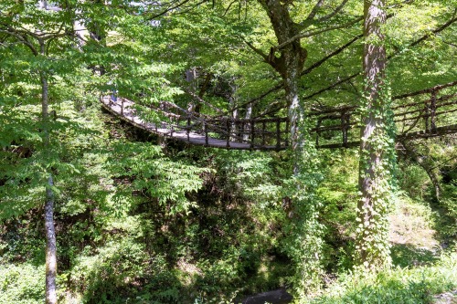 高所恐怖症の方は注意！池田町にある「かずら橋」いってみたよフクブロ～福井のワクワク発見サイト～