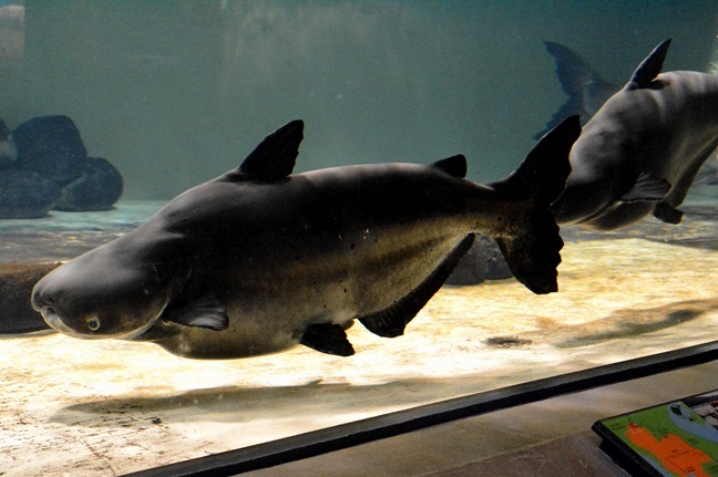 2025年 タイの動物園・水族館 ベスト10